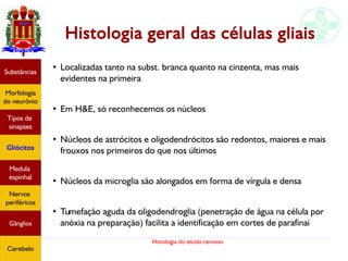 Histologia do tecido nervoso
Substâncias
Morfologia
do neurônio
Tipos de
sinapses
Gliócitos
Medula
espinhal
Nervos
periféricos
Gânglios
Cerebelo
Histologia geral das células gliais
●
Localizadas tanto na subst. branca quanto na cinzenta, mas mais
evidentes na primeira
●
Em H&E, só reconhecemos os núcleos
●
Núcleos de astrócitos e oligodendrócitos são redontos, maiores e mais
frouxos nos primeiros do que nos últimos
●
Núcleos da microglia são alongados em forma de vírgula e densa
●
Tumefação aguda da oligodendroglia (penetração de água na célula por
anóxia na preparação) facilita a identificação em cortes de parafinai
 