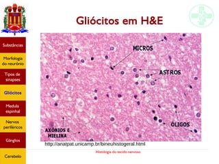 Histologia do tecido nervoso
Gliócitos em H&E
http://anatpat.unicamp.br/bineuhistogeral.html
Substâncias
Morfologia
do neurônio
Tipos de
sinapses
Gliócitos
Medula
espinhal
Nervos
periféricos
Gânglios
Cerebelo
 