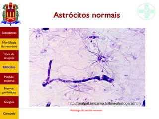 Histologia do tecido nervoso
Astrócitos normais
Substâncias
Morfologia
do neurônio
Tipos de
sinapses
Gliócitos
Medula
espinhal
Nervos
periféricos
Gânglios
Cerebelo
http://anatpat.unicamp.br/bineuhistogeral.html
 