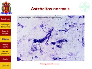 Histologia do tecido nervoso
Astrócitos normais
Substâncias
Morfologia
do neurônio
Tipos de
sinapses
Gliócitos
Medula
espinhal
Nervos
periféricos
Gânglios
Cerebelo
http://anatpat.unicamp.br/bineuhistogeral.html
 