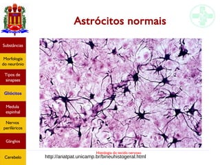 Histologia do tecido nervoso
Astrócitos normais
Substâncias
Morfologia
do neurônio
Tipos de
sinapses
Gliócitos
Medula
espinhal
Nervos
periféricos
Gânglios
Cerebelo http://anatpat.unicamp.br/bineuhistogeral.html
 