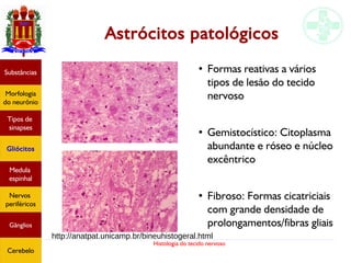 Histologia do tecido nervoso
Astrócitos patológicos
Substâncias
Morfologia
do neurônio
Tipos de
sinapses
Gliócitos
Medula
espinhal
Nervos
periféricos
Gânglios
Cerebelo
●
Formas reativas a vários
tipos de lesão do tecido
nervoso
●
Gemistocístico: Citoplasma
abundante e róseo e núcleo
excêntrico
●
Fibroso: Formas cicatriciais
com grande densidade de
prolongamentos/fibras gliais
http://anatpat.unicamp.br/bineuhistogeral.html
 