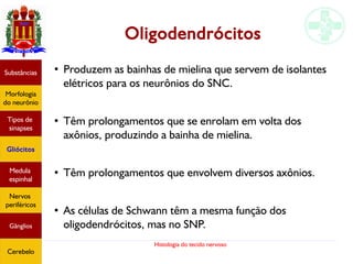 Histologia do tecido nervoso
Oligodendrócitos
●
Produzem as bainhas de mielina que servem de isolantes
elétricos para os neurônios do SNC.
●
Têm prolongamentos que se enrolam em volta dos
axônios, produzindo a bainha de mielina. 
●
Têm prolongamentos que envolvem diversos axônios.
●
As células de Schwann têm a mesma função dos
oligodendrócitos, mas no SNP.
Substâncias
Morfologia
do neurônio
Tipos de
sinapses
Gliócitos
Medula
espinhal
Nervos
periféricos
Gânglios
Cerebelo
 
