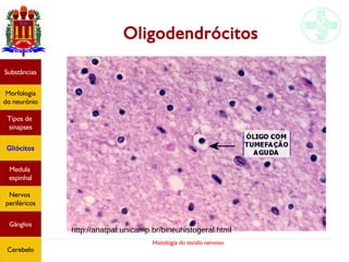Histologia do tecido nervoso
Oligodendrócitos
http://anatpat.unicamp.br/bineuhistogeral.html
Substâncias
Morfologia
do neurônio
Tipos de
sinapses
Gliócitos
Medula
espinhal
Nervos
periféricos
Gânglios
Cerebelo
 
