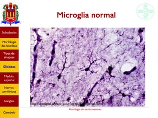Histologia do tecido nervoso
Microglia normal
Substâncias
Morfologia
do neurônio
Tipos de
sinapses
Gliócitos
Medula
espinhal
Nervos
periféricos
Gânglios
Cerebelo
http://anatpat.unicamp.br/bineuhistogeral.html
 