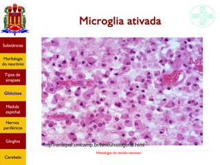 Histologia do tecido nervoso
Microglia ativada
Substâncias
Morfologia
do neurônio
Tipos de
sinapses
Gliócitos
Medula
espinhal
Nervos
periféricos
Gânglios
Cerebelo
http://anatpat.unicamp.br/bineuhistogeral.html
 