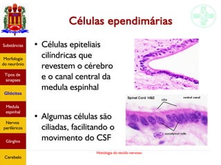 Histologia do tecido nervoso
Células ependimárias
● Células epiteliais
cilíndricas que
revestem o cérebro
e o canal central da
medula espinhal
●
Algumas células são
ciliadas, facilitando o
movimento do CSF
Substâncias
Morfologia
do neurônio
Tipos de
sinapses
Gliócitos
Medula
espinhal
Nervos
periféricos
Gânglios
Cerebelo
 