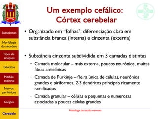 Histologia do tecido nervoso
Um exemplo cefálico:
Córtex cerebelar
Substâncias
Morfologia
do neurônio
Tipos de
sinapses
Gliócitos
Medula
espinhal
Nervos
periféricos
Gânglios
Cerebelo
●
Organizado em “folhas”; diferenciação clara em
substância branca (interna) e cinzenta (externa)
●
Substância cinzenta subdividida em 3 camadas distintas
– Camada molecular – mais externa, poucos neurônios, muitas
fibras amielínicas
– Camada de Purkinje – fileira única de células, neurônios
grandes e piriformes, 2-3 dendritos principais ricamente
ramificados
– Camada granular – células e pequenas e numerosas
associadas a poucas células grandes
 