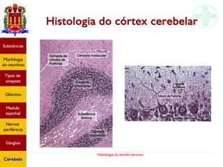 Histologia do tecido nervoso
Histologia do córtex cerebelar
Substâncias
Morfologia
do neurônio
Tipos de
sinapses
Gliócitos
Medula
espinhal
Nervos
periféricos
Gânglios
Cerebelo
 