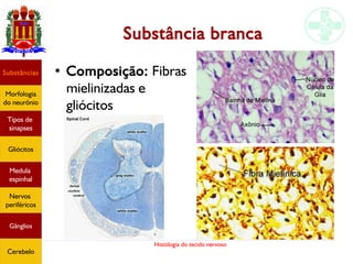 Histologia do tecido nervoso
Substância branca
● Composição: Fibras
mielinizadas e
gliócitos
Substâncias
Morfologia
do neurônio
Tipos de
sinapses
Gliócitos
Medula
espinhal
Nervos
periféricos
Gânglios
Cerebelo
 