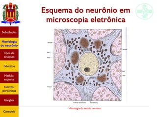 Histologia do tecido nervoso
Esquema do neurônio em
microscopia eletrônica
Substâncias
Morfologia
do neurônio
Tipos de
sinapses
Gliócitos
Medula
espinhal
Nervos
periféricos
Gânglios
Cerebelo
 