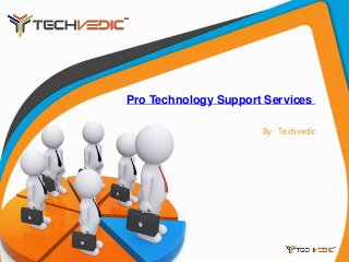 Pro Technology Support Services
By : Techvedic
 