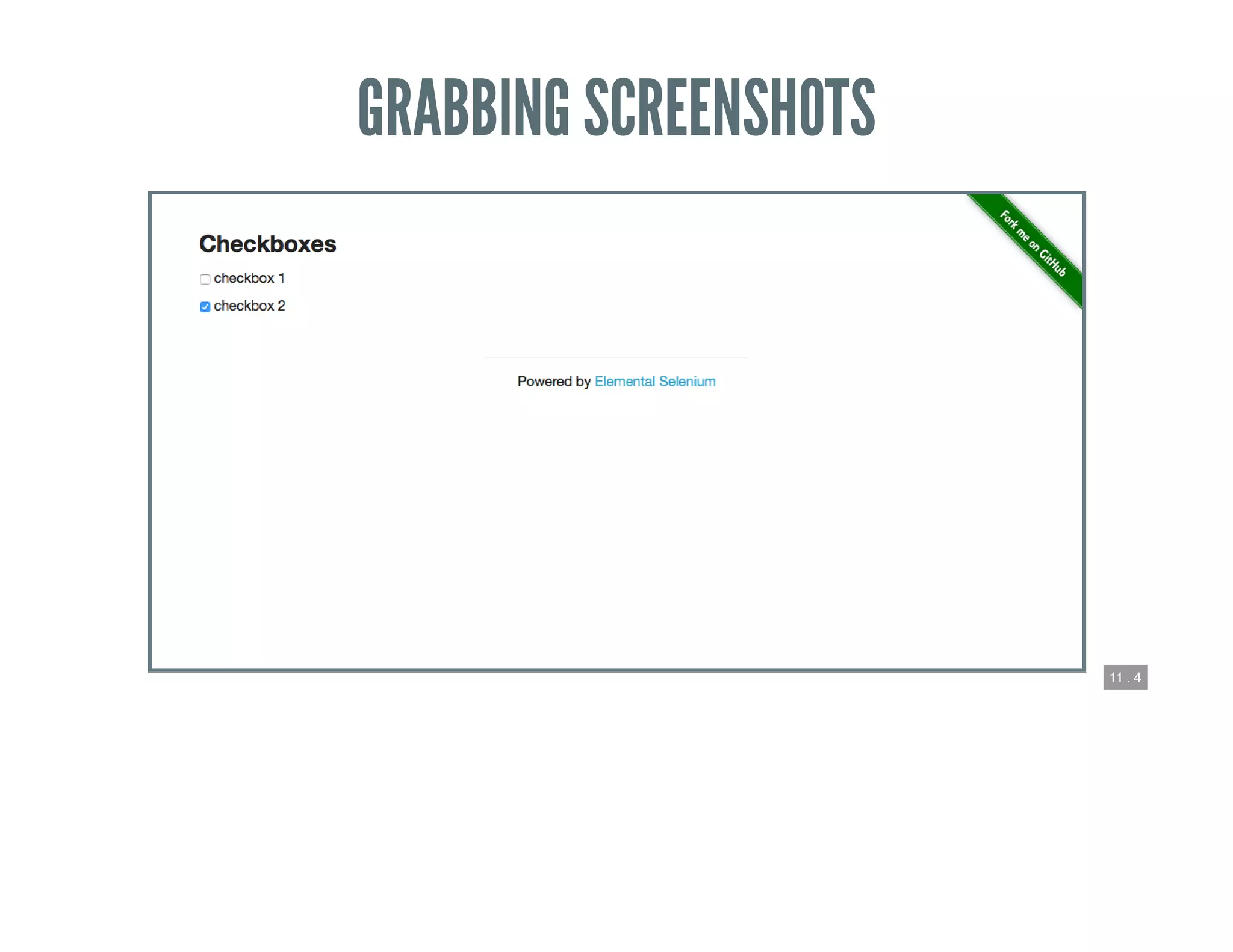 11 . 4
GRABBING SCREENSHOTS
 