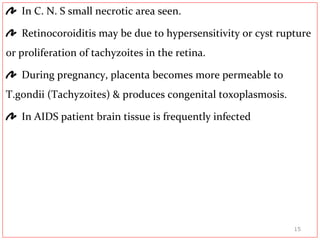 In C. N. S small necrotic area seen.
Retinocoroiditis may be due to hypersensitivity or cyst rupture
or proliferation of tachyzoites in the retina.
During pregnancy, placenta becomes more permeable to
T.gondii (Tachyzoites) & produces congenital toxoplasmosis.
In AIDS patient brain tissue is frequently infected
15
 