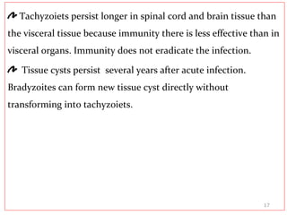 Tachyzoiets persist longer in spinal cord and brain tissue than
the visceral tissue because immunity there is less effective than in
visceral organs. Immunity does not eradicate the infection.
Tissue cysts persist several years after acute infection.
Bradyzoites can form new tissue cyst directly without
transforming into tachyzoiets.
17
 