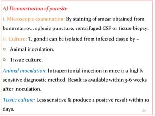 A) Demonstration of parasite
i. Microscopic examination: By staining of smear obtained from
bone marrow, splenic puncture, centrifuged CSF or tissue biopsy.
ii. Culture: T. gondii can be isolated from infected tissue by –
o Animal inoculation.
o Tissue culture.
Animal inoculation: Intraperitonial injection in mice is a highly
sensitive diagnostic method. Result is available within 3-6 weeks
after inoculation.
Tissue culture: Less sensitive & produce a positive result within 10
days. 24
 