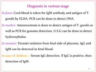 Diagnosis in various stage
In fetus: Cord blood is taken for IgM antibody and antigen of T.
gondii by ELISA. PCR can be done to detect DNA.
In mother: Amniocentesis is done to detect antigen of T. gondii as
well as PCR for genome detection. U.S.G can be done to detect
hydrocephalus.
In neonate: Parasite isolation from fetal side of placenta. IgG and
IgM can be detected in fetal blood.
In case of children :- Serum IgG detection. If IgG is positive, then
detection of IgM.
27
 