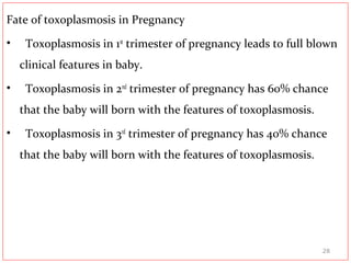 Fate of toxoplasmosis in Pregnancy
• Toxoplasmosis in 1st
trimester of pregnancy leads to full blown
clinical features in baby.
• Toxoplasmosis in 2nd
trimester of pregnancy has 60% chance
that the baby will born with the features of toxoplasmosis.
• Toxoplasmosis in 3rd
trimester of pregnancy has 40% chance
that the baby will born with the features of toxoplasmosis.
28
 