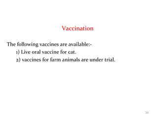 Vaccination
The following vaccines are available:-
1) Live oral vaccine for cat.
2) vaccines for farm animals are under trial.
30
 