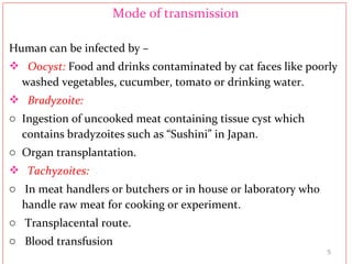 Mode of transmission
Human can be infected by –
 Oocyst: Food and drinks contaminated by cat faces like poorly
washed vegetables, cucumber, tomato or drinking water.
 Bradyzoite:
o Ingestion of uncooked meat containing tissue cyst which
contains bradyzoites such as “Sushini” in Japan.
o Organ transplantation.
 Tachyzoites:
o In meat handlers or butchers or in house or laboratory who
handle raw meat for cooking or experiment.
o Transplacental route.
o Blood transfusion
5
 