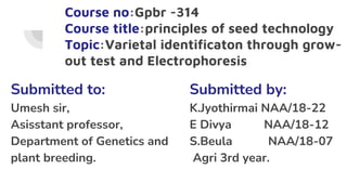 Course no:Gpbr -314
Course title:principles of seed technology
Topic:Varietal identificaton through grow-
out test and Electrophoresis
Submitted to:
Umesh sir,
Asisstant professor,
Department of Genetics and
plant breeding.
Submitted by:
K.Jyothirmai NAA/18-22
E Divya NAA/18-12
S.Beula NAA/18-07
Agri 3rd year.
 
