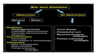Triphasic Comprehensive Guide to Triphasic MDCT for Liver Lesion Evaluation and ...