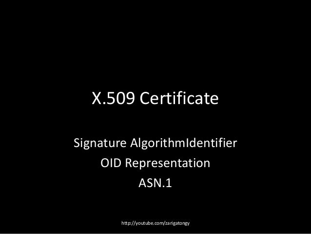 X509 Certificate Structure OID Represenation of AlgorithmIdentifier
