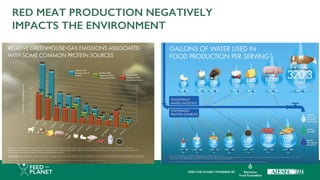RED MEAT PRODUCTION NEGATIVELY
IMPACTS THE ENVIRONMENT
 