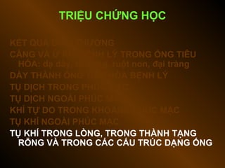 TRIỆU CHỨNG HỌC
KẾT QUẢ BÌNH THƯỜNG
CĂNG VÀ Ứ KHÍ BỆNH LÝ TRONG ỐNG TIÊU
HÓA: dạ dày, tá tràng, ruột non, đại tràng
DÀY THÀNH ỐNG TIÊU HÓA BỆNH LÝ
TỤ DỊCH TRONG PHÚC MẠC
TỤ DỊCH NGOÀI PHÚC MẠC
KHÍ TỰ DO TRONG KHOANG PHÚC MẠC
TỤ KHÍ NGOÀI PHÚC MẠC
TỤ KHÍ TRONG LÒNG, TRONG THÀNH TẠNG
RỖNG VÀ TRONG CÁC CẤU TRÚC DẠNG ỐNG
 