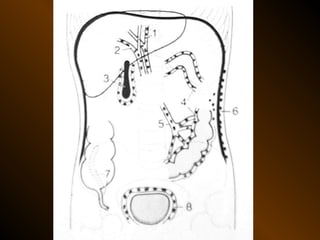 Xq bung cap dai cuong