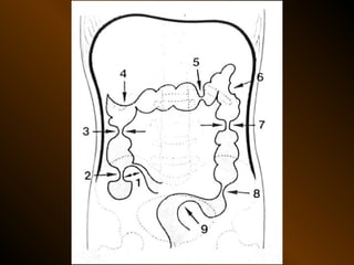 Xq bung cap dai cuong