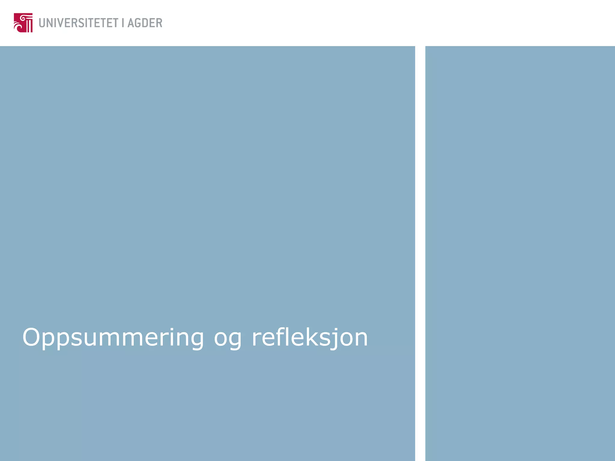 Oppsummering og refleksjon 
 