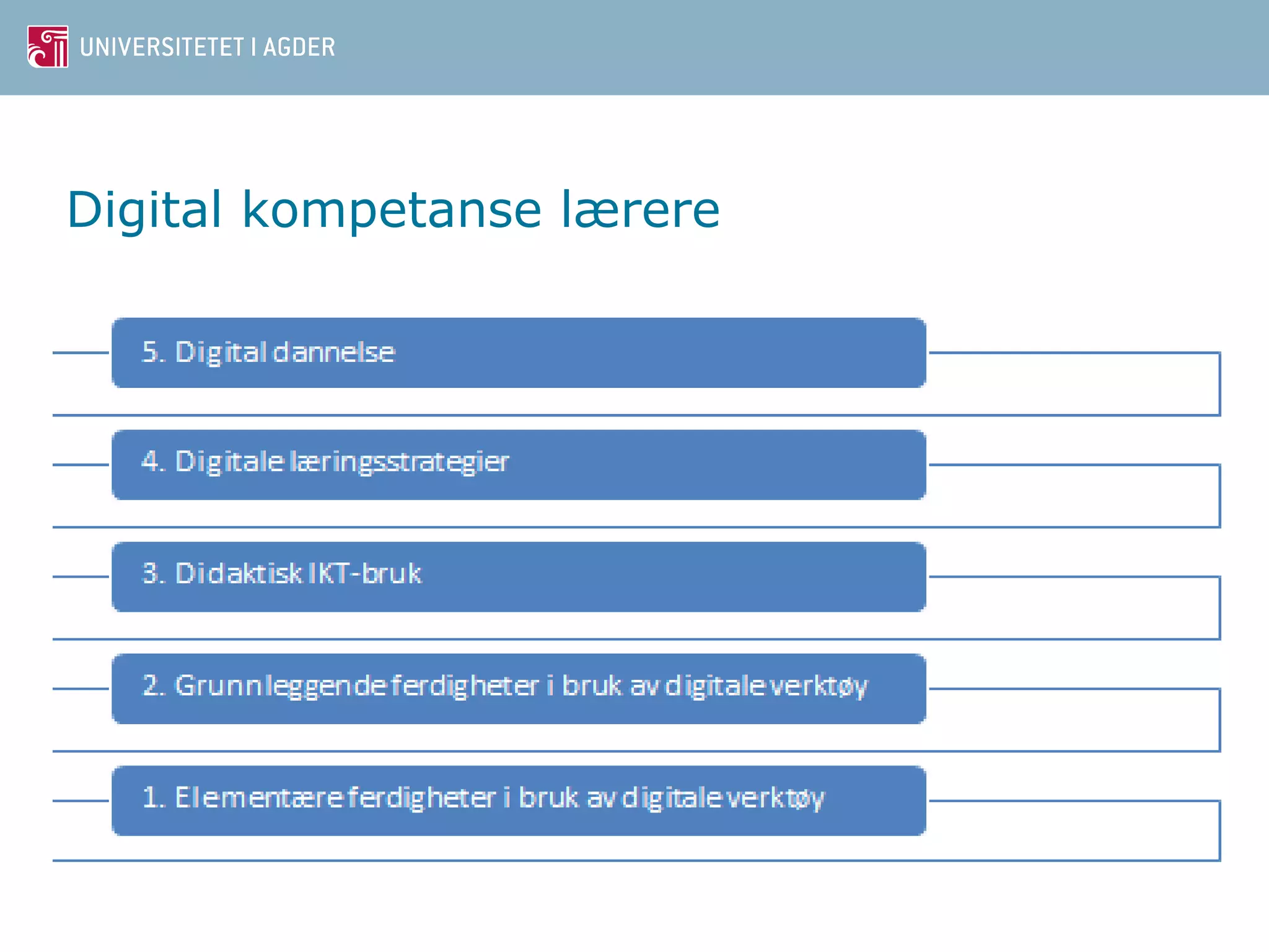 Digital kompetanse lærere 
 
