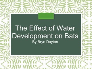 The Effect of Water 
Development on Bats 
By Bryn Dayton 
 