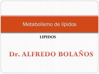 Metabolismo de lípidos

      LIPIDOS
 