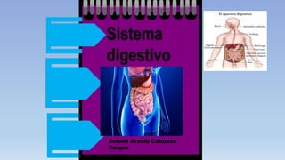 Roland Arnold Cahuasa
Vargas
Sistema
digestivo
 