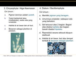 Mengenal macam- macam protosta, presentasi-protista-fix.ppt