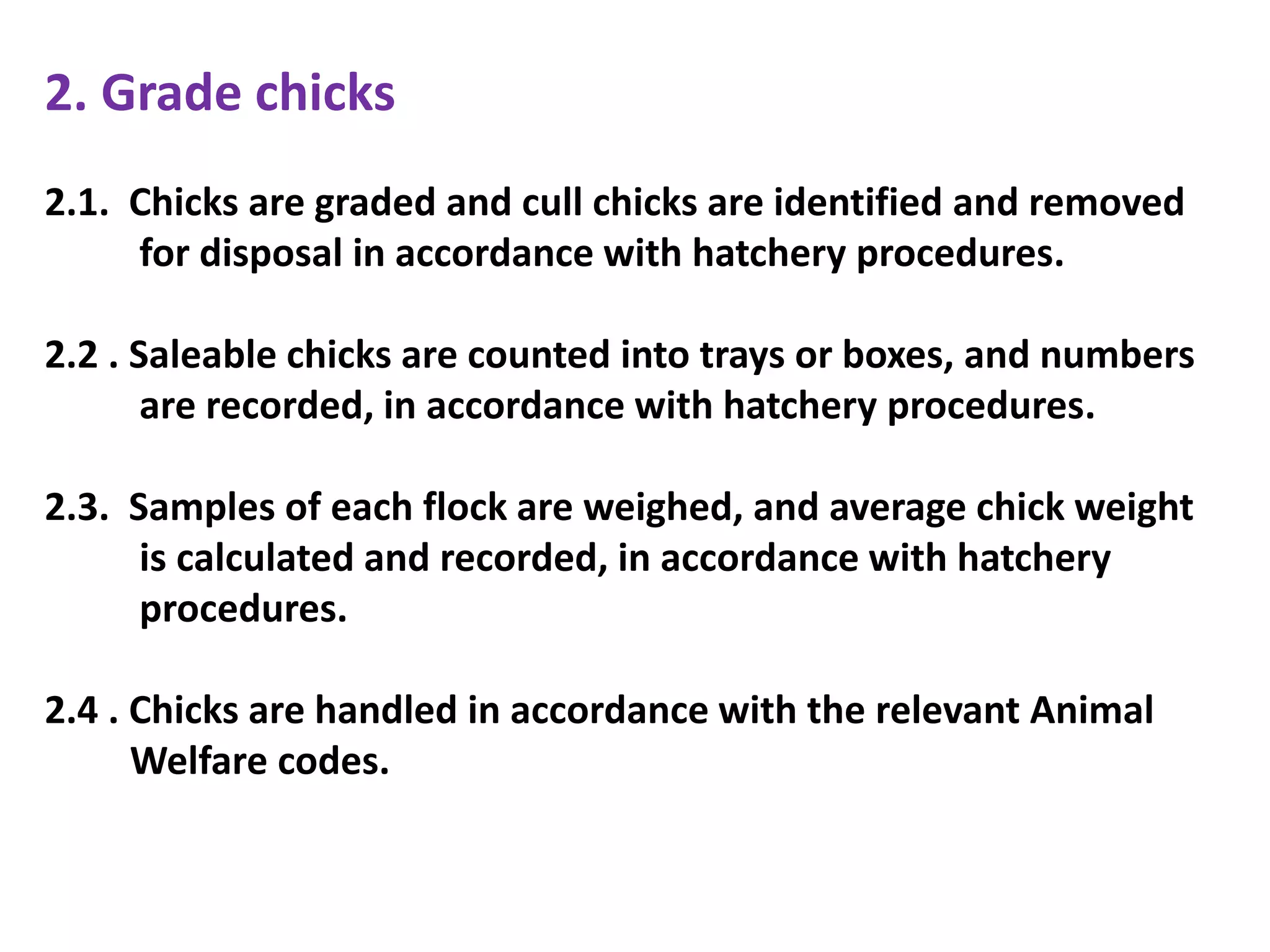 2. Grade chicks
2.1. Chicks are graded and cull chicks are identified and removed
for disposal in accordance with hatchery procedures.
2.2 . Saleable chicks are counted into trays or boxes, and numbers
are recorded, in accordance with hatchery procedures.
2.3. Samples of each flock are weighed, and average chick weight
is calculated and recorded, in accordance with hatchery
procedures.
2.4 . Chicks are handled in accordance with the relevant Animal
Welfare codes.
 