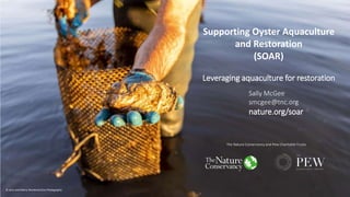 The Nature Conservancy and Pew Charitable Trusts
© Jerry and Marcy Monkman/Eco Photography
Supporting Oyster Aquaculture
and Restoration
(SOAR)
Leveraging aquaculture for restoration
Sally McGee
smcgee@tnc.org
nature.org/soar
 