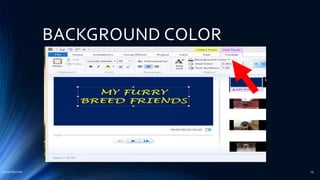 BACKGROUND COLOR
2015mftpulido 25
 