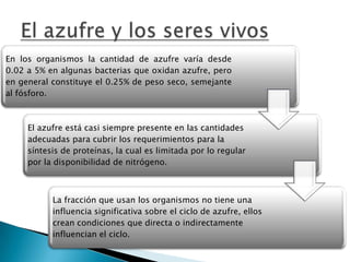 En los organismos la cantidad de azufre varía desde
0.02 a 5% en algunas bacterias que oxidan azufre, pero
en general constituye el 0.25% de peso seco, semejante
al fósforo.



     El azufre está casi siempre presente en las cantidades
     adecuadas para cubrir los requerimientos para la
     síntesis de proteínas, la cual es limitada por lo regular
     por la disponibilidad de nitrógeno.



           La fracción que usan los organismos no tiene una
           influencia significativa sobre el ciclo de azufre, ellos
           crean condiciones que directa o indirectamente
           influencian el ciclo.
 