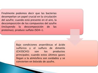 Finalmente podemos decir que las bacterias
desempeñan un papel crucial en la circulación
del azufre; cuando está presente en el aire, la
descomposición de los compuestos del azufre
(incluyendo la descomposición de las
proteínas), produce sulfato (SO4=).




            Bajo condiciones anaeróbicas el ácido
            sulfúrico y el sulfuro de dimetilo
            (CH3SCH3)       son    los    productos
            principales; cuando estos últimos gases
            llegan a la atmósfera son oxidados y se
            convierten en bióxido de azufre.
 