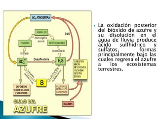   La oxidación posterior
    del bióxido de azufre y
    su disolución en el
    agua de lluvia produce
    ácido     sulfhídrico   y
    sulfatos,          formas
    principalmente bajo las
    cuales regresa el azufre
    a    los     ecosistemas
    terrestres.
 