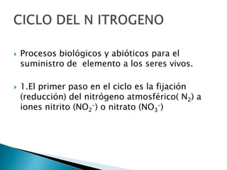    Procesos biológicos y abióticos para el
    suministro de elemento a los seres vivos.

   1.El primer paso en el ciclo es la fijación
    (reducción) del nitrógeno atmosférico( N2) a
    iones nitrito (NO2–) o nitrato (NO3–)
 