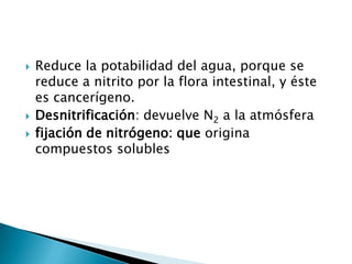    Reduce la potabilidad del agua, porque se
    reduce a nitrito por la flora intestinal, y éste
    es cancerígeno.
   Desnitrificación: devuelve N2 a la atmósfera
   fijación de nitrógeno: que origina
    compuestos solubles
 