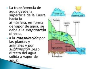    La transferencia de
    agua desde la
    superficie de la Tierra
    hacia la
    atmósfera, en forma
    de vapor de agua, se
    debe a la evaporación
    directa,
   a la transpiración por
    las plantas y
    animales y por
    sublimación (paso
    directo del agua
    sólida a vapor de
    agua).
 