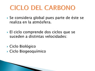    Se considera global pues parte de éste se
    realiza en la atmósfera.

   El ciclo comprende dos ciclos que se
    suceden a distintas velocidades:

   Ciclo Biológico
   Ciclo Biogeoquímico
 
