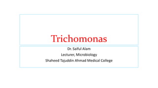 Trichomonas
Dr. Saiful Alam
Lecturer, Microbiology
Shaheed Tajuddin Ahmad Medical College
 