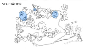 Ara Beringin
VEGETATION
 