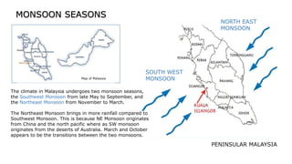 SOUTH WEST
MONSOON
NORTH EAST
MONSOON
Map of Malaysia
PENINSULAR MALAYSIA
The climate in Malaysia undergoes two monsoon seasons,
the Southwest Monsoon from late May to September, and
the Northeast Monsoon from November to March.
The Northeast Monsoon brings in more rainfall compared to
Southwest Monsoon. This is because NE Monsoon originates
from China and the north pacific where as SW monsoon
originates from the deserts of Australia. March and October
appears to be the transitions between the two monsoons.
MONSOON SEASONS
 